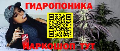 прущие грибы Ипатово