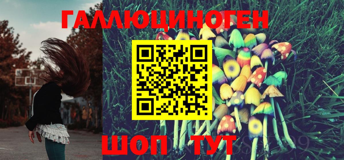 Краснокаменск  купить наркотики цена  Псилоцибиновые грибы ЛСД  Вход с VPN  Псилоцибиновые грибы Psilocybine cubensis 